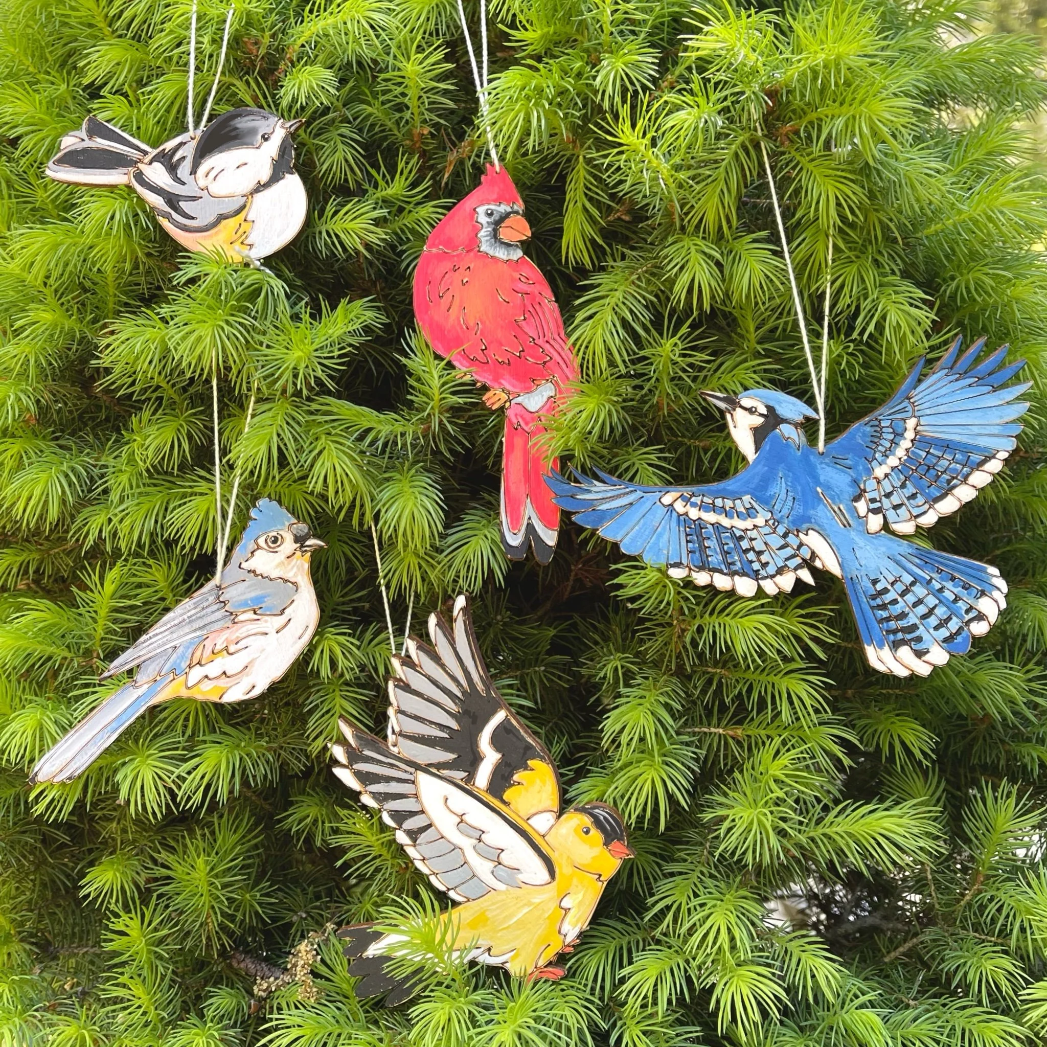 New! Natural Wonders Paint Kit - Bird Ornaments — Heidi Boyd